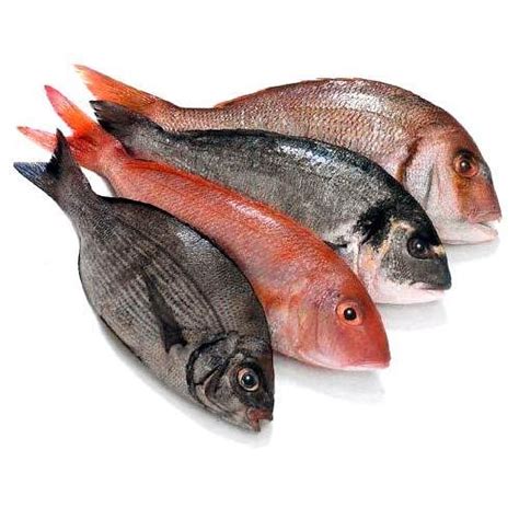 Fresh Fish Online Kalyan .